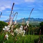 Avec Jardin Entre Porto-vecchio Et Figari - Casa Mattiste