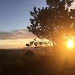 Avec Jardin Entre Porto-vecchio Et Figari - Casa Mattiste * Сотта