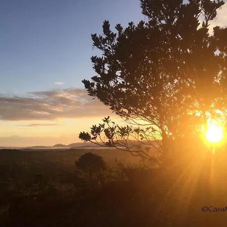 Avec Jardin Entre Porto-vecchio Et Figari - Casa Mattiste * Sotta