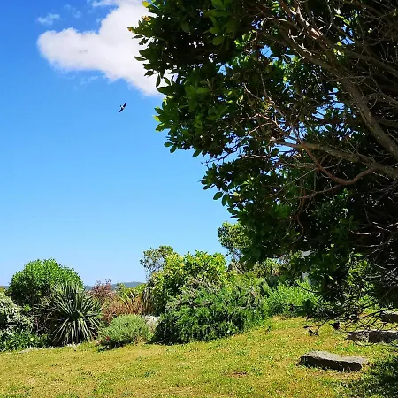 Avec Jardin Entre Porto-vecchio Et Figari - Casa Mattiste 소타