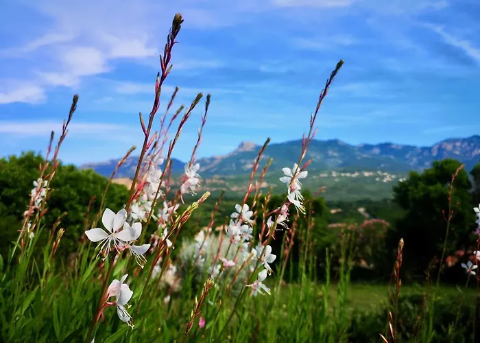 Avec Jardin Entre Porto-vecchio Et Figari - Casa Mattiste