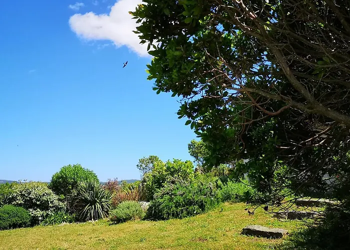 Avec Jardin Entre Porto-vecchio Et Figari - Casa Mattiste Sotta