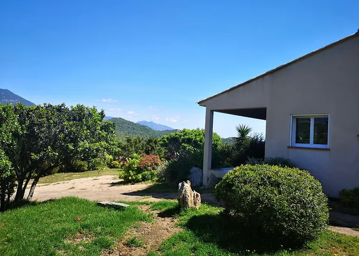 Appartement Avec Jardin Entre Porto-vecchio Et Figari - Casa Mattiste